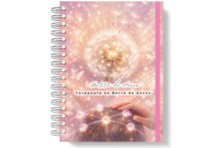 Agenda Barra de Acces